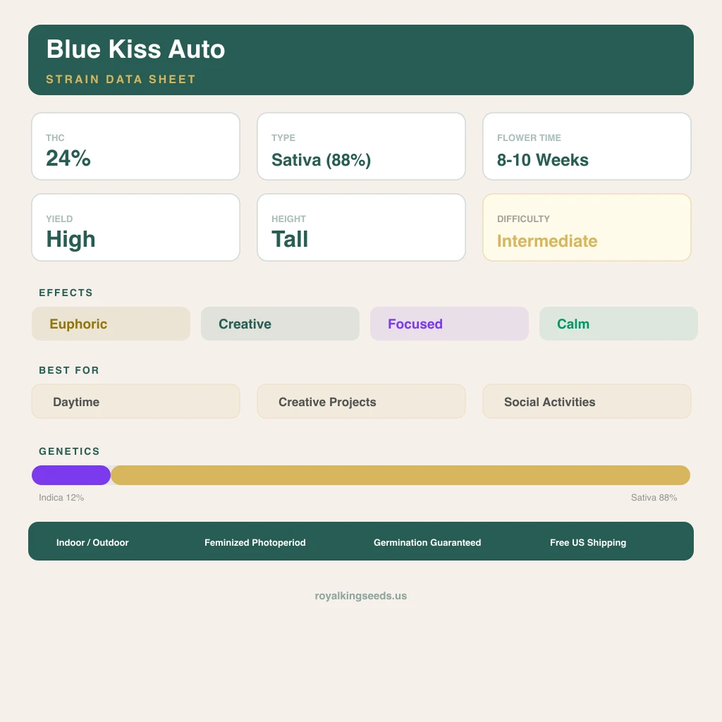 Blue Kiss 12% indica / 88% sativa — flor con tricomas visibles