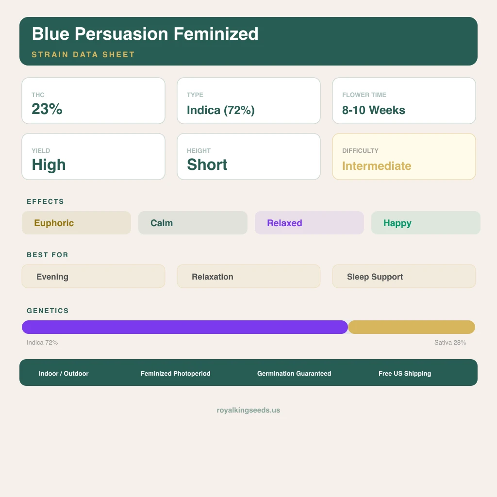 Blue Persuasion 72% indica / 28% sativa — flor con tricomas visibles