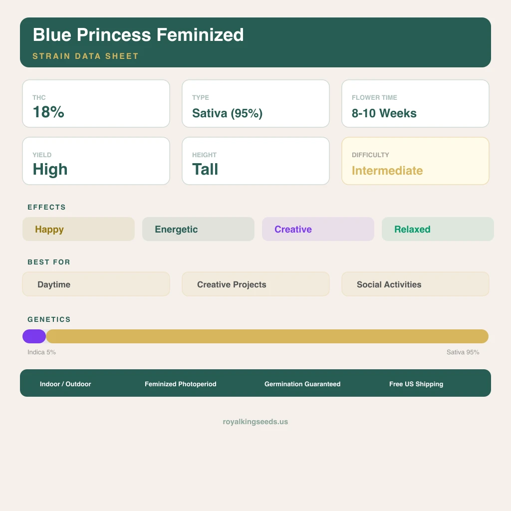 Blue Princess 5% indica / 95% sativa — flor con tricomas visibles