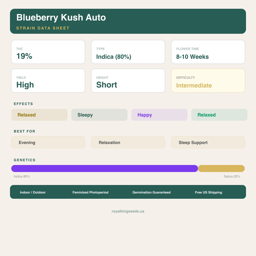Blueberry Kush 80% indica / 20% sativa — flor con tricomas visibles