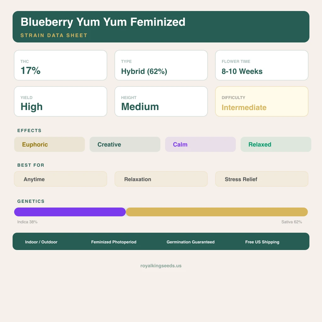 Blueberry Yum Yum 38% indica / 62% sativa — flor con tricomas visibles