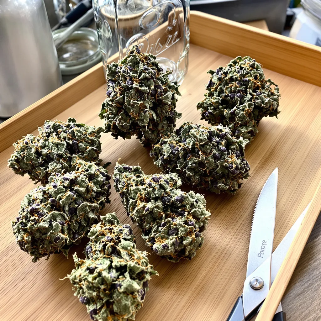 Bubba OG 80% indica / 20% sativa — flor con tricomas visibles