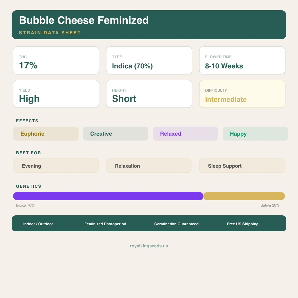 Bubble Cheese 70% indica / 30% sativa — flor con tricomas visibles