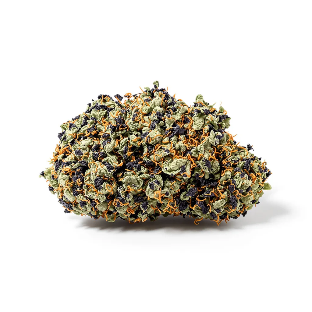 Buddha Tahoe 100% indica / 50% sativa — flor con tricomas visibles