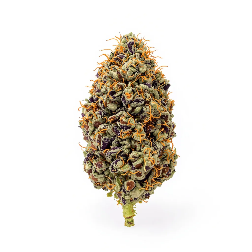 Burkle 78% indica / 22% sativa — flor con tricomas visibles