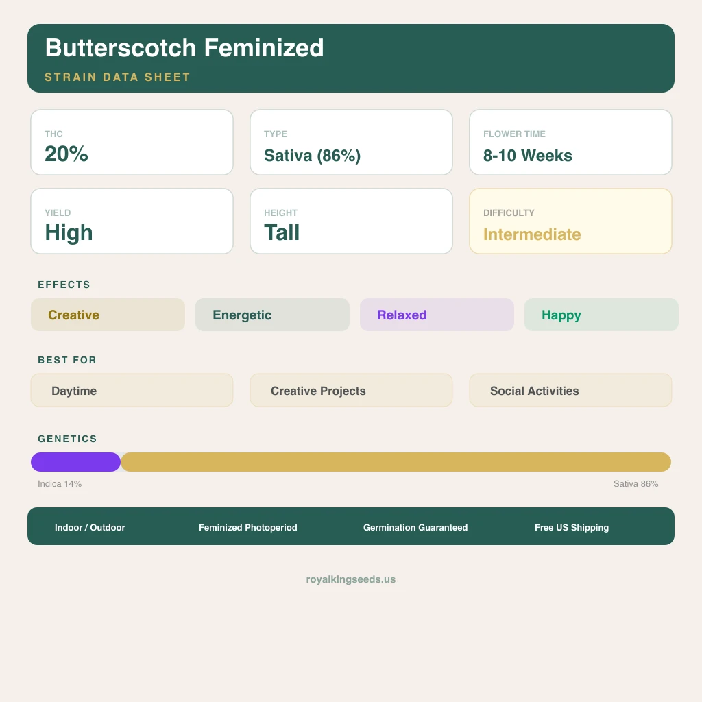 Butterscotch 14% indica / 86% sativa — flor con tricomas visibles