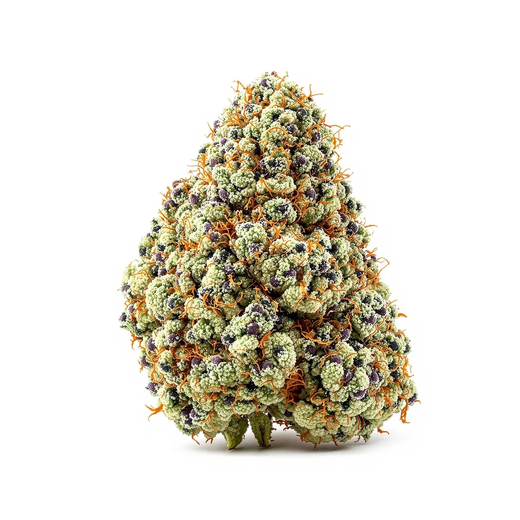 Cali Jack 36% indica / 64% sativa — flor con tricomas visibles