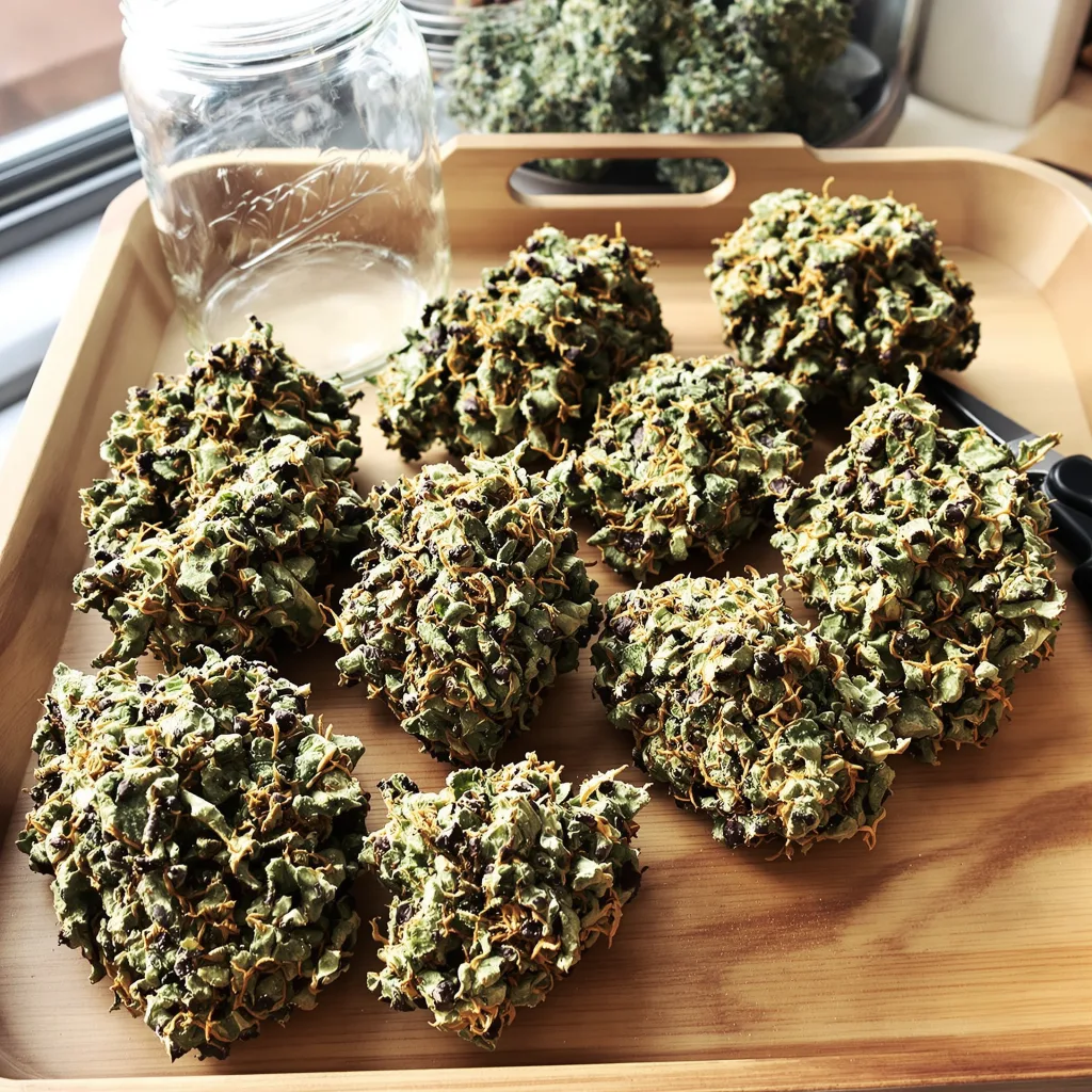 Casper OG 71% indica / 29% sativa — flor con tricomas visibles