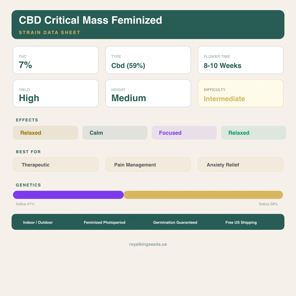 CBD Critical Mass 41% indica / 59% sativa — flor con tricomas visibles