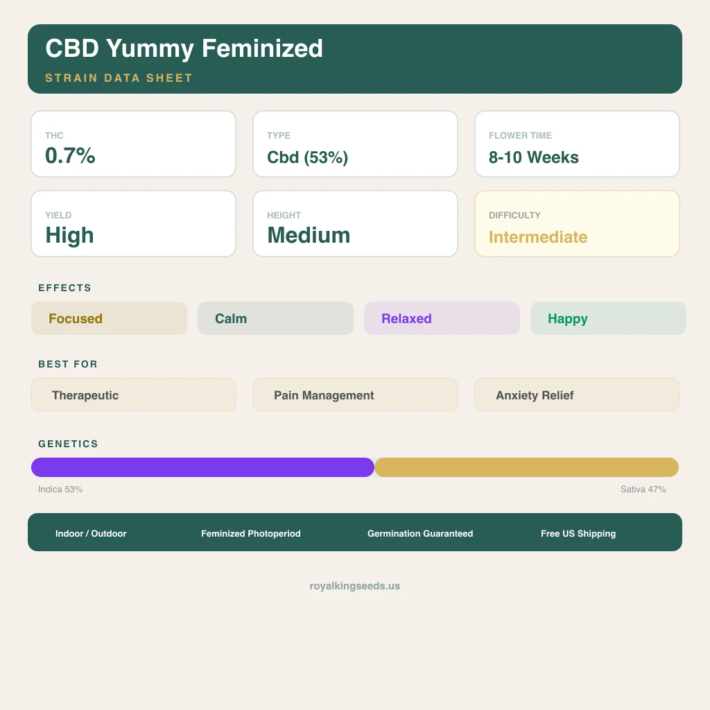 CBD Yummy 53% indica / 47% sativa — flor con tricomas visibles
