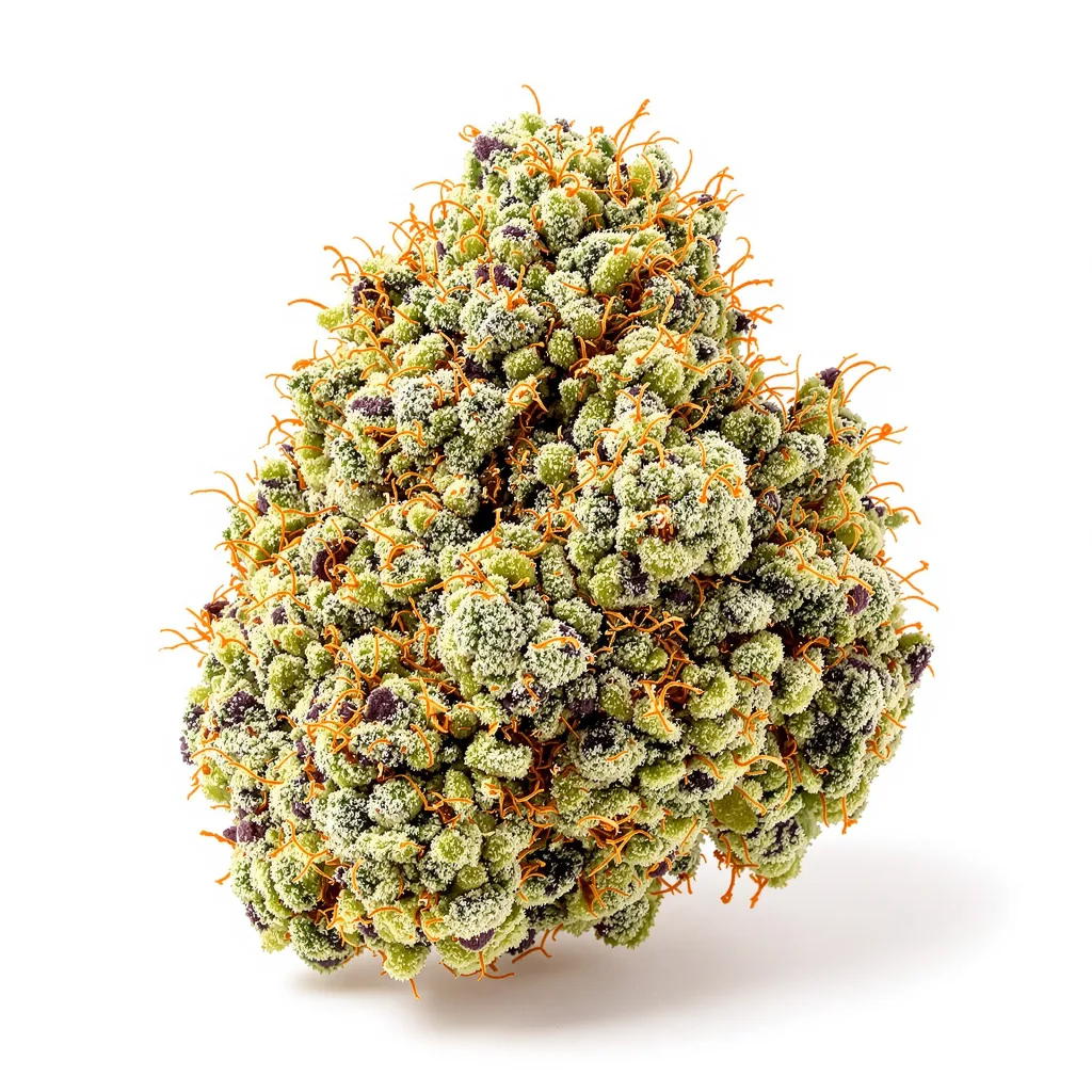 Champagne Kush 50% indica / 50% sativa — flor con tricomas visibles
