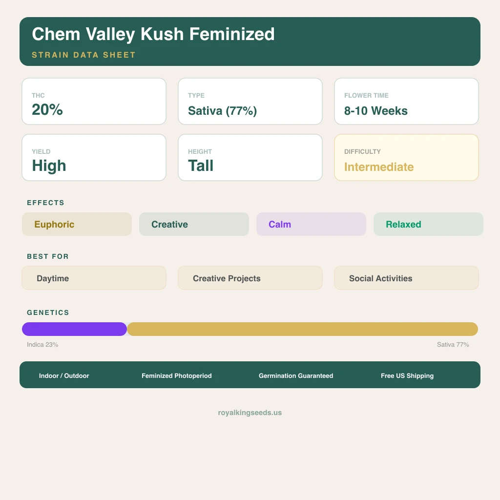 Chem Valley Kush 23% indica / 77% sativa — flor con tricomas visibles