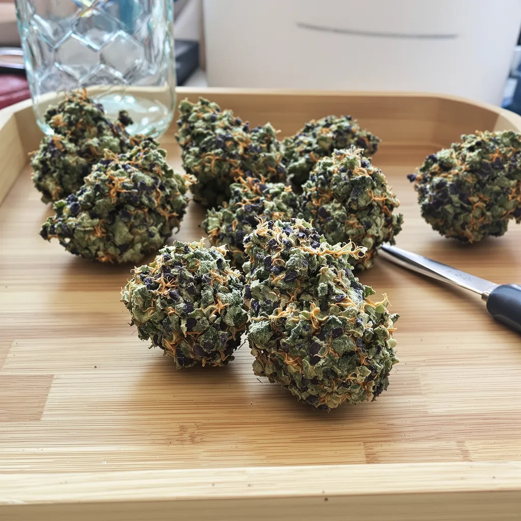 Chemo 66% indica / 34% sativa — flor con tricomas visibles