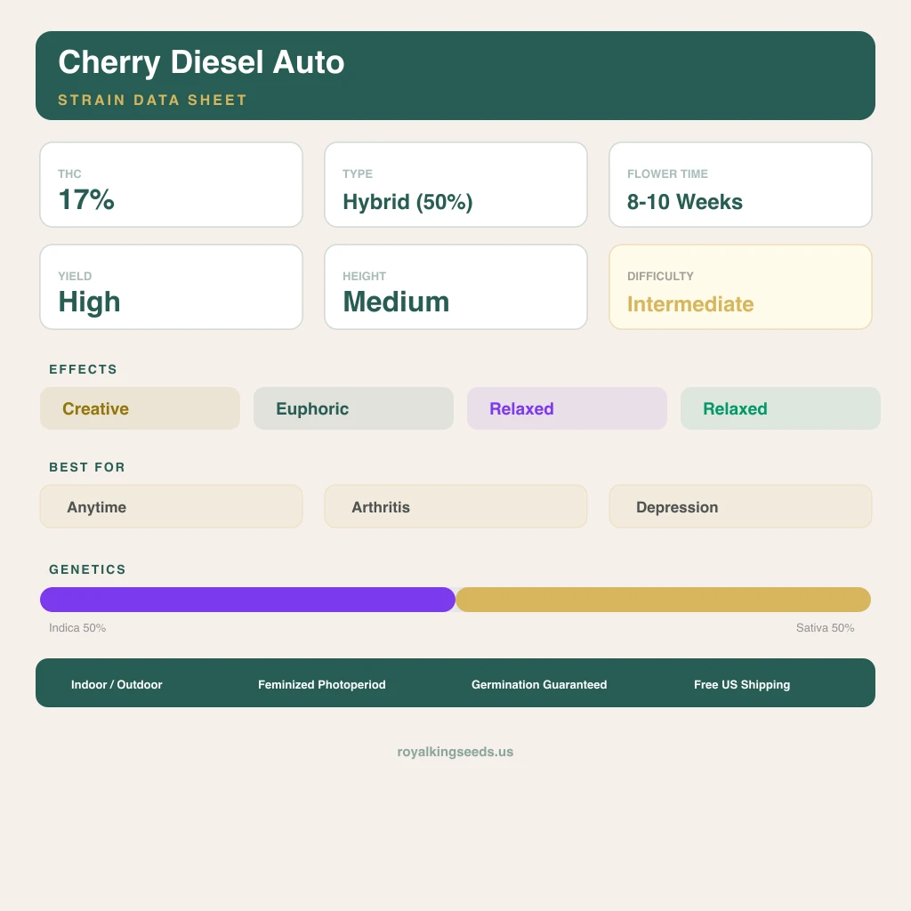 Cherry Diesel 50% indica / 50% sativa — flor con tricomas visibles