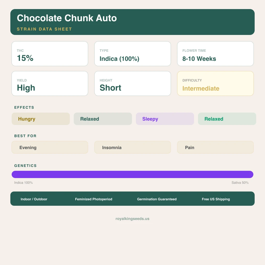 Chocolate Chunk 100% indica / 50% sativa — flor con tricomas visibles