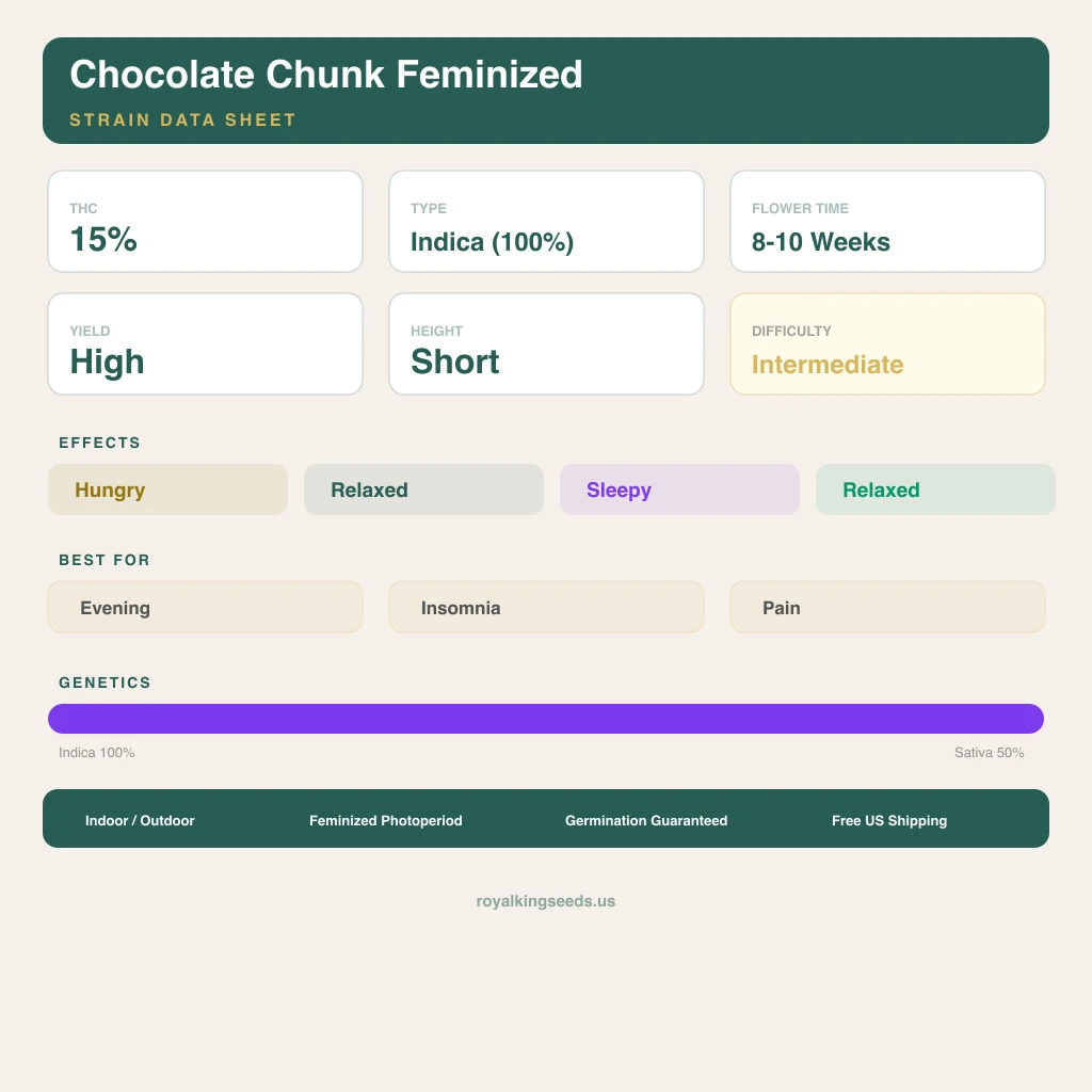 Chocolate Chunk 100% indica / 50% sativa — flor con tricomas visibles