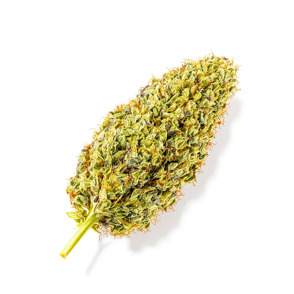 Cinderella 99 5% indica / 95% sativa — flor con tricomas visibles