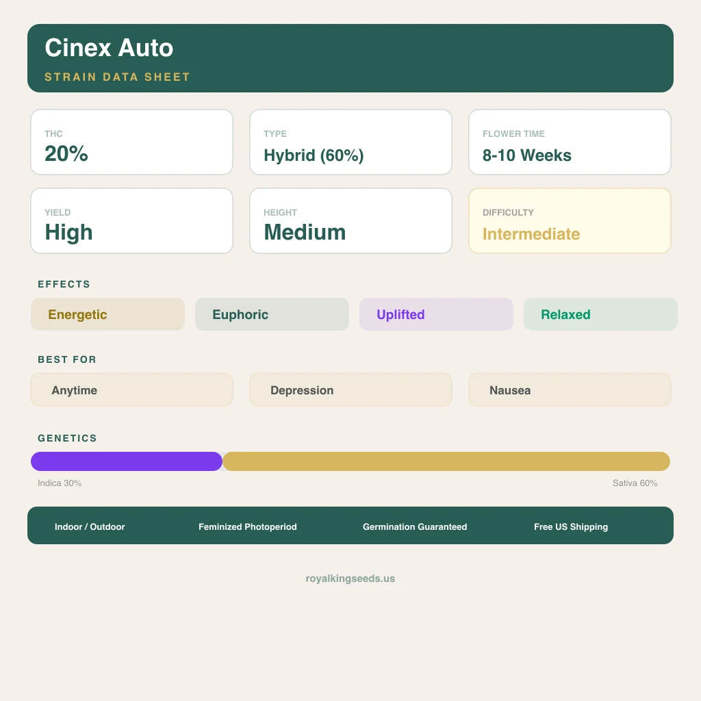 Cinex 30% indica / 60% sativa — flor con tricomas visibles