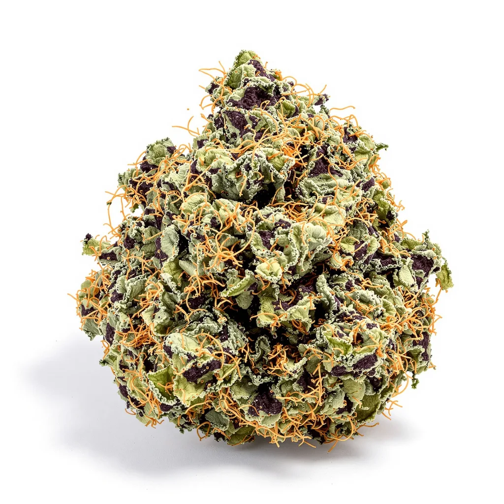 Cold War Kush 65% indica / 35% sativa — flor con tricomas visibles