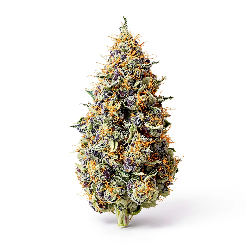 Cookie Jar 72% indica / 28% sativa — flor con tricomas visibles