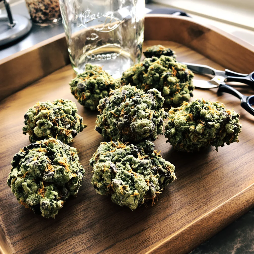 Cookies and Cream 52% indica / 48% sativa — flor con tricomas visibles