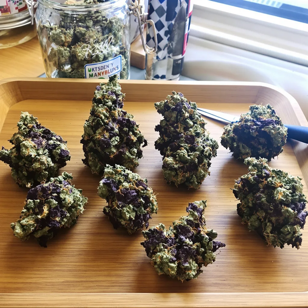 Cracker Jack 81% indica / 19% sativa — flor con tricomas visibles