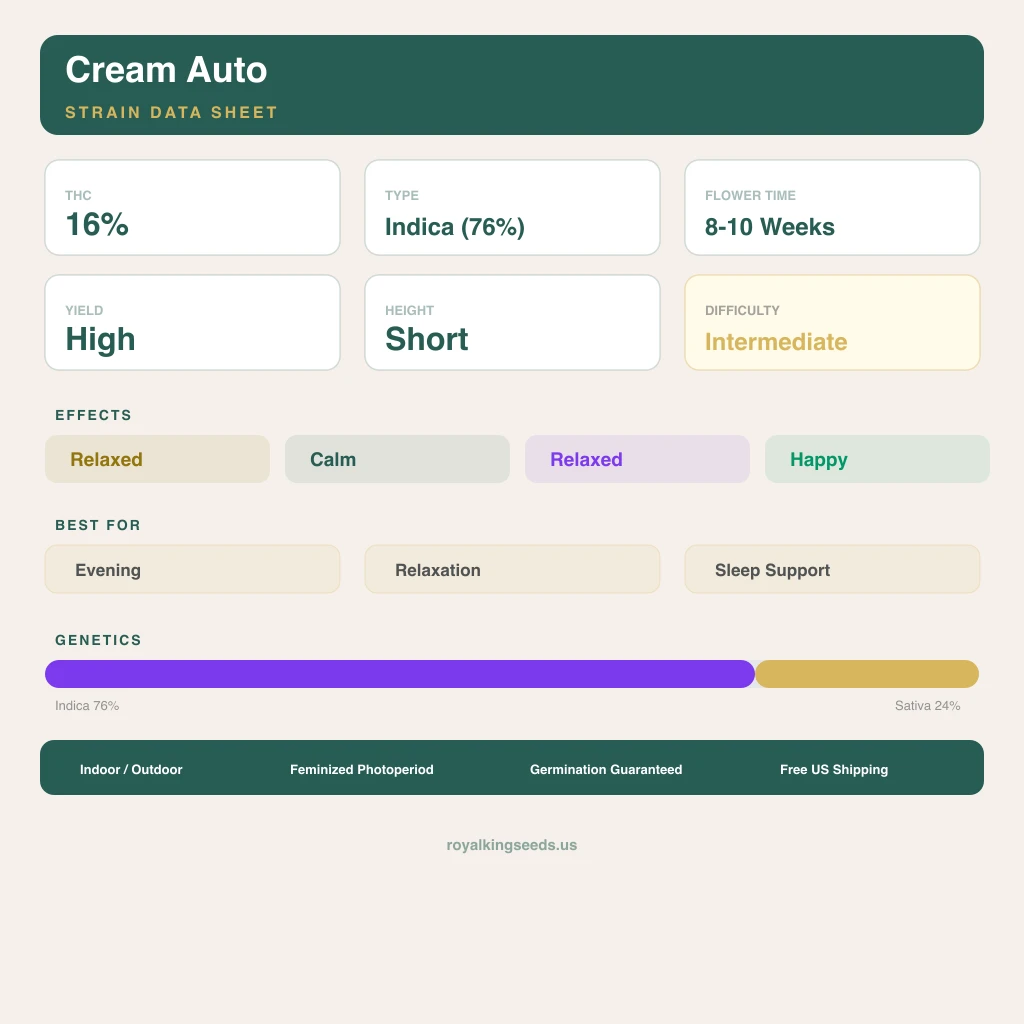 Cream 76% indica / 24% sativa — flor con tricomas visibles