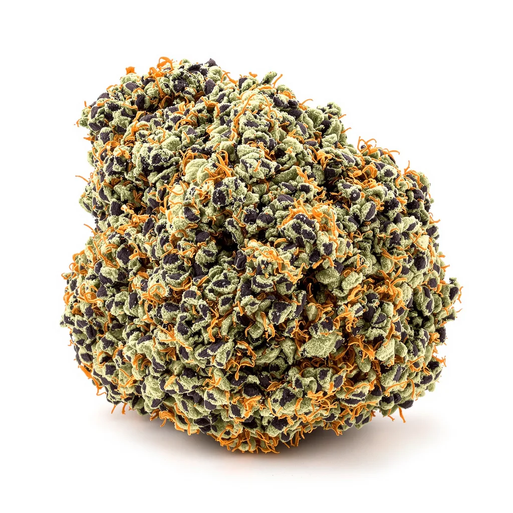 Critical Bilbo 72% indica / 28% sativa — flor con tricomas visibles