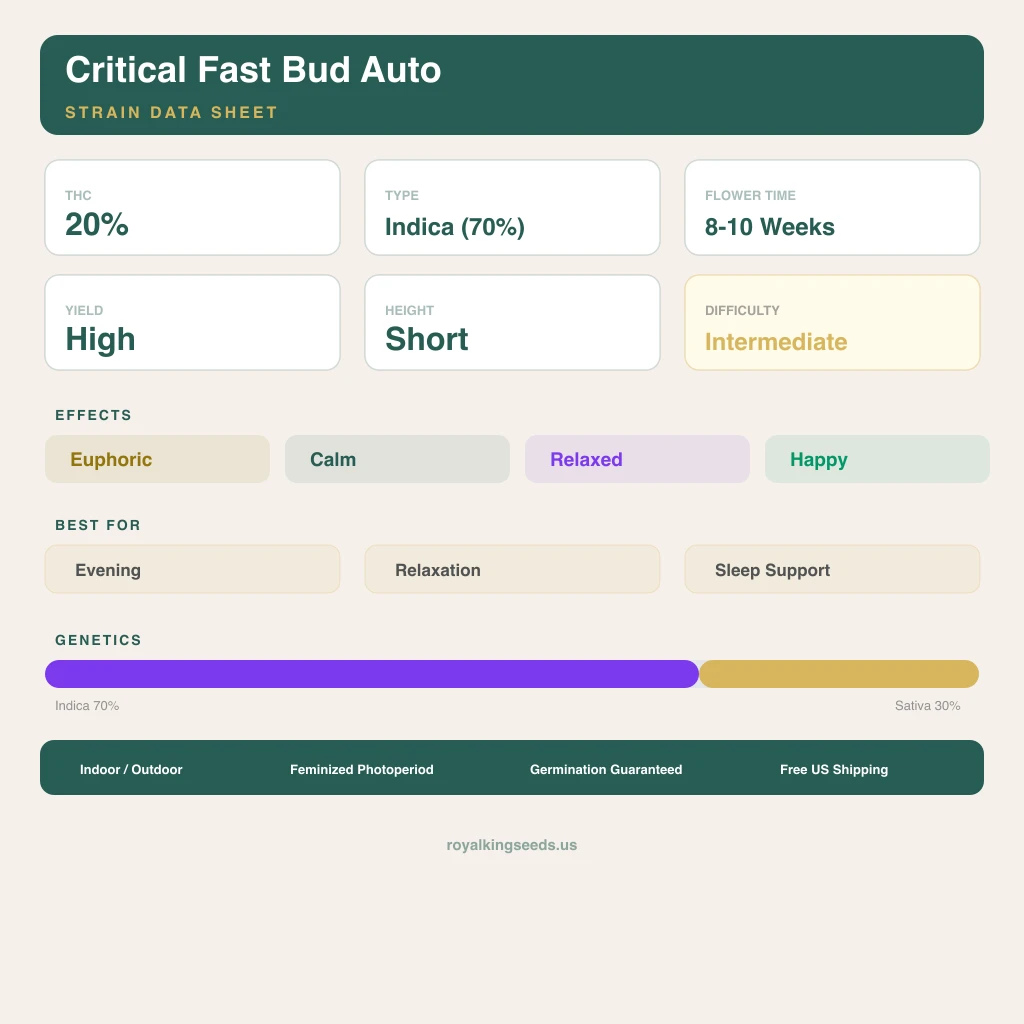 Critical Fast Bud 70% indica / 30% sativa — flor con tricomas visibles