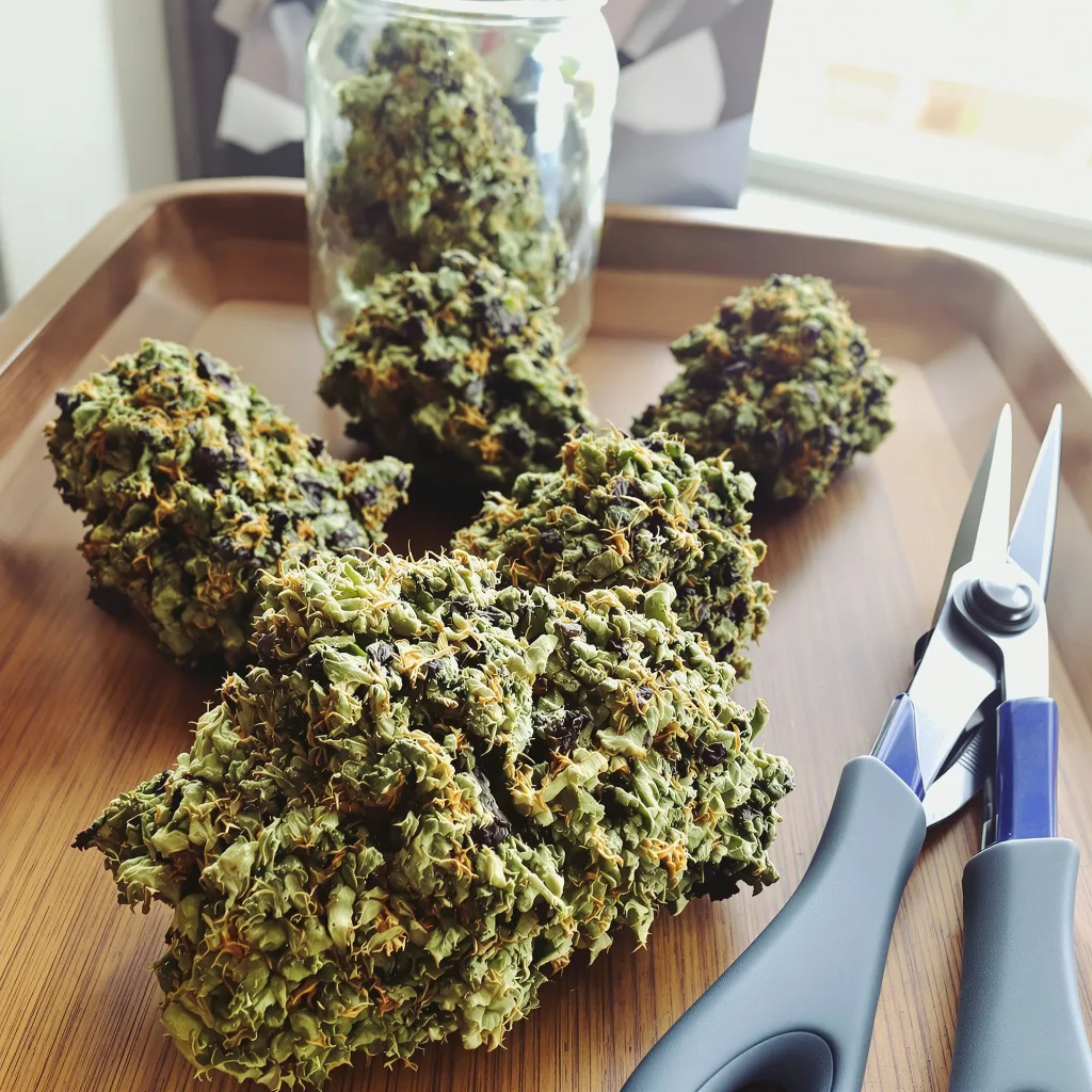 Crown Royale 83% indica / 17% sativa — flor con tricomas visibles