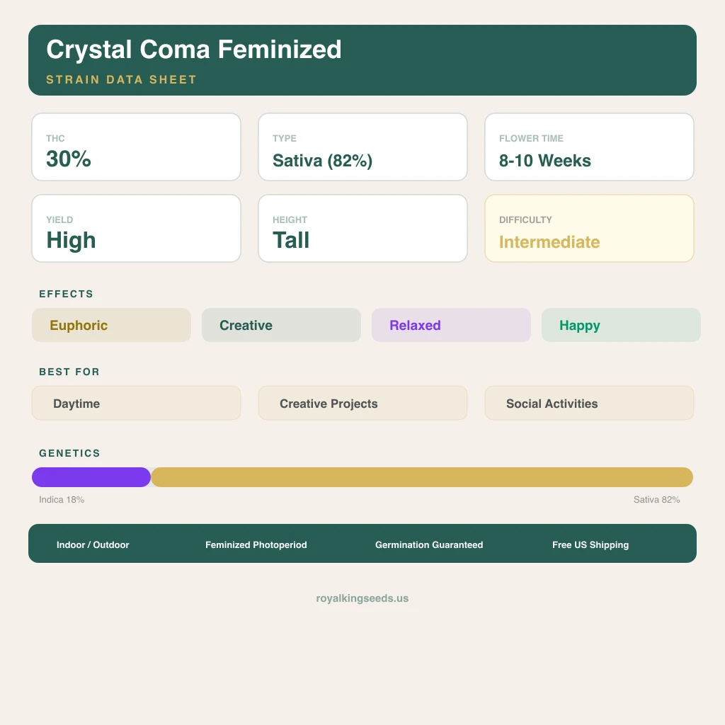 Crystal Coma 18% indica / 82% sativa — flor con tricomas visibles