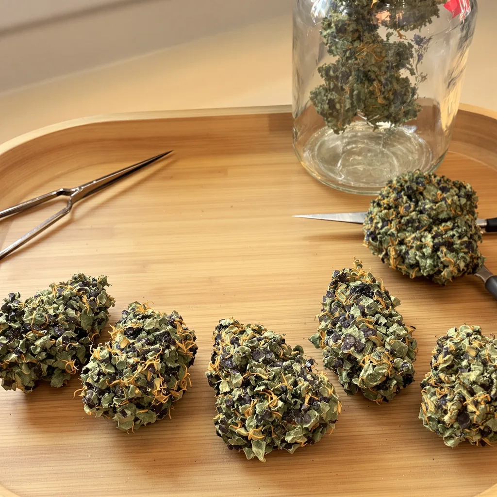 Dairy Queen 82% indica / 18% sativa — flor con tricomas visibles