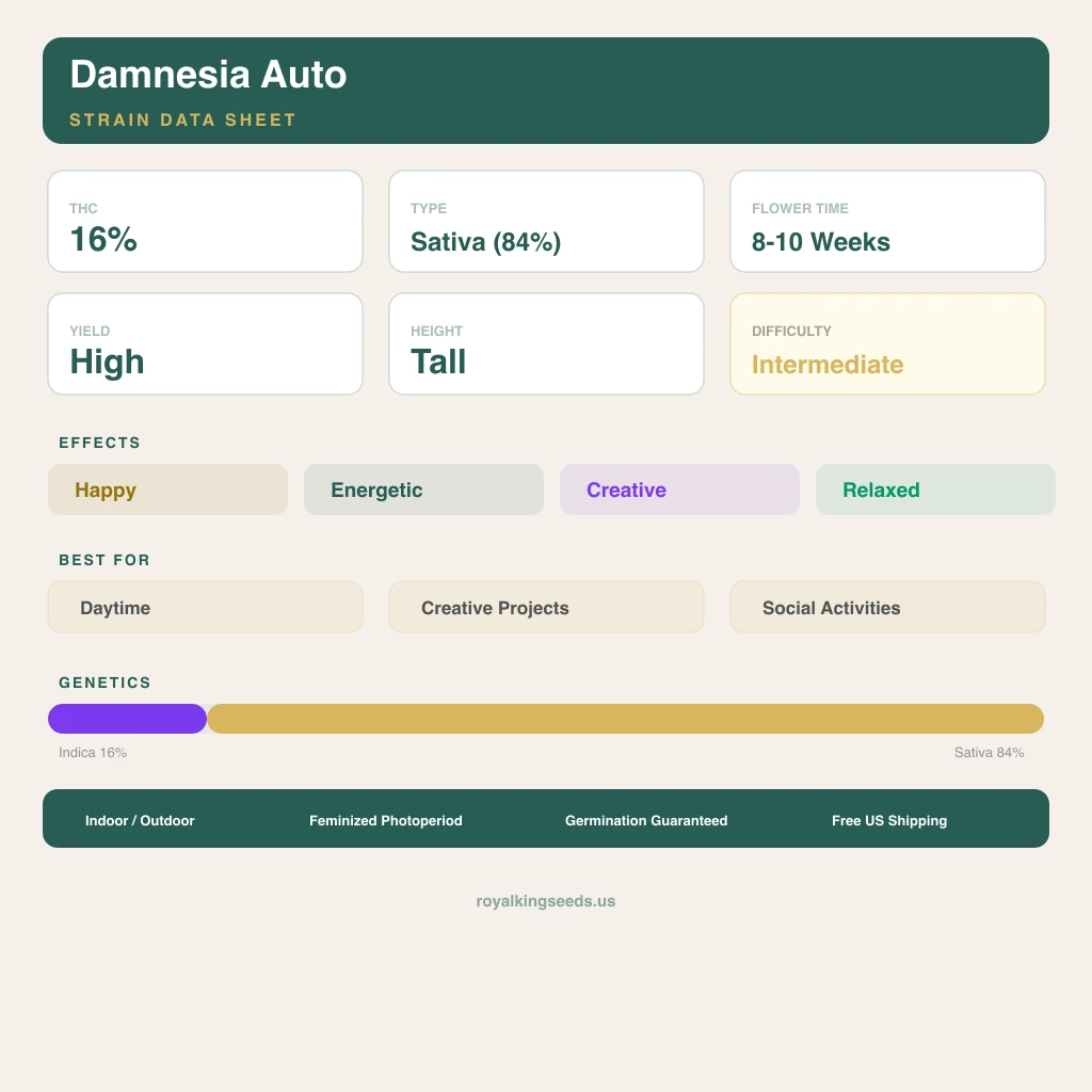 Damnesia 16% indica / 84% sativa — flor con tricomas visibles
