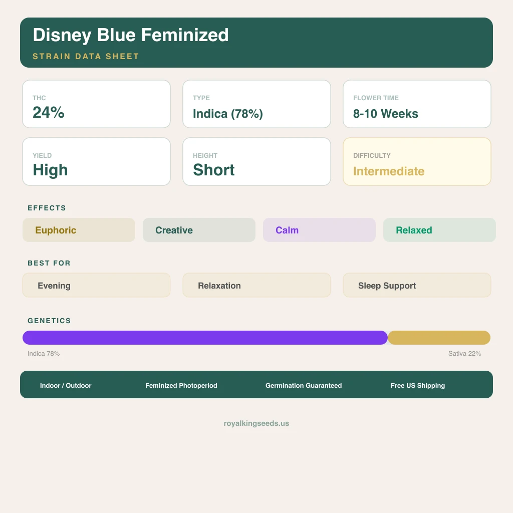 Disney Blue 78% indica / 22% sativa — flor con tricomas visibles