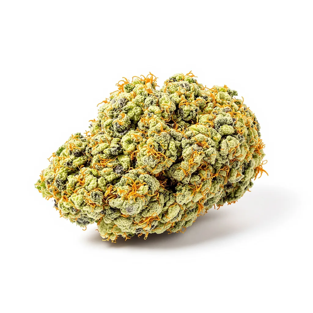 Dizzy OG 16% indica / 84% sativa — flor con tricomas visibles