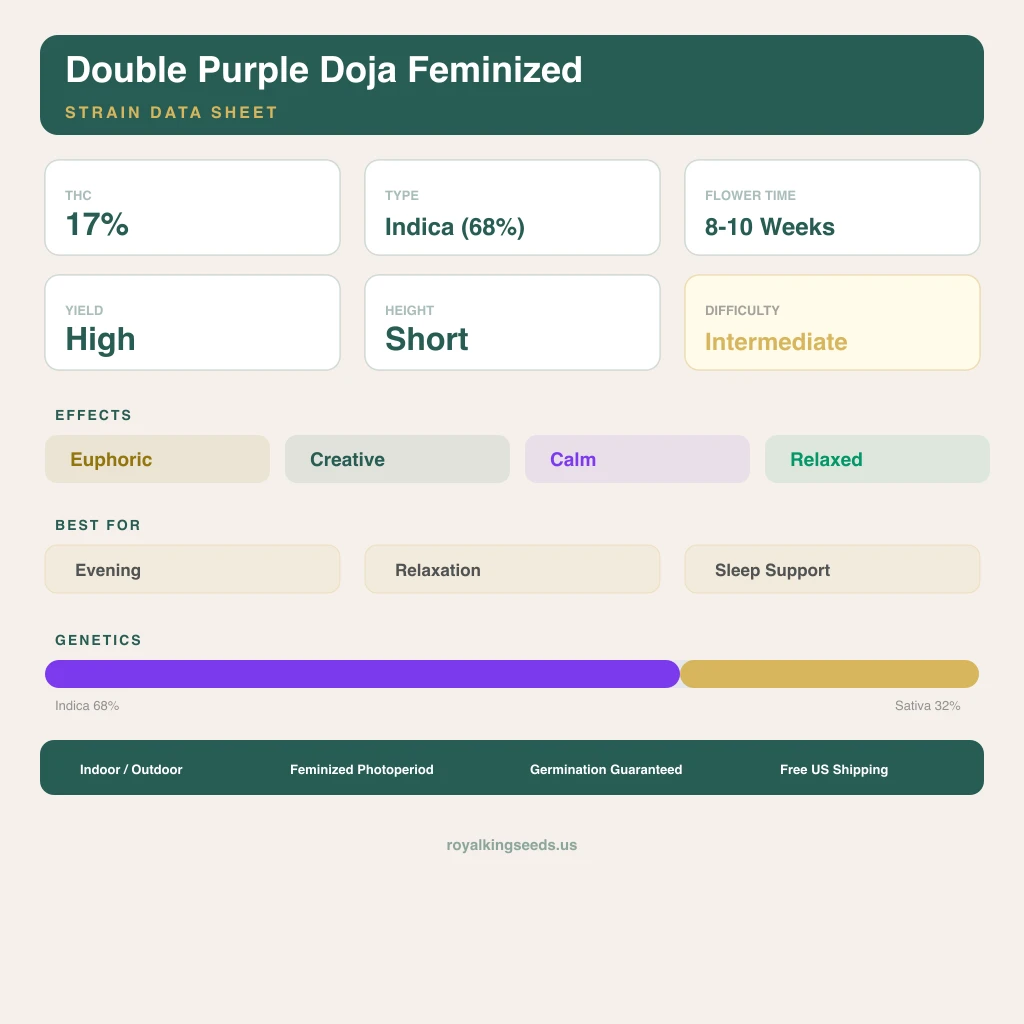 Double Purple Doja 68% indica / 32% sativa — flor con tricomas visibles