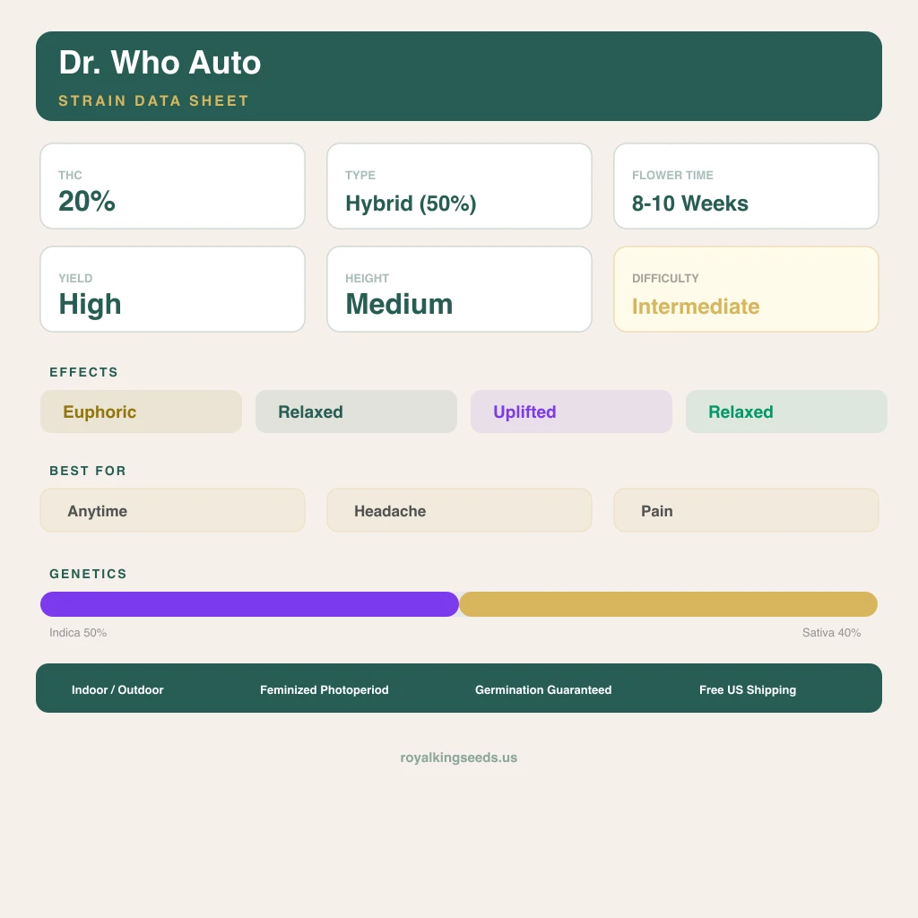 Dr. Who 50% indica / 40% sativa — flor con tricomas visibles