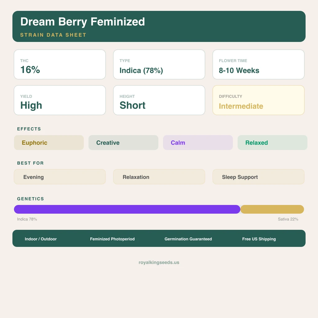 Dream Berry 78% indica / 22% sativa — flor con tricomas visibles