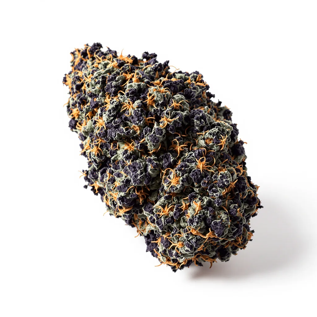 Dream Queen 76% indica / 24% sativa — flor con tricomas visibles