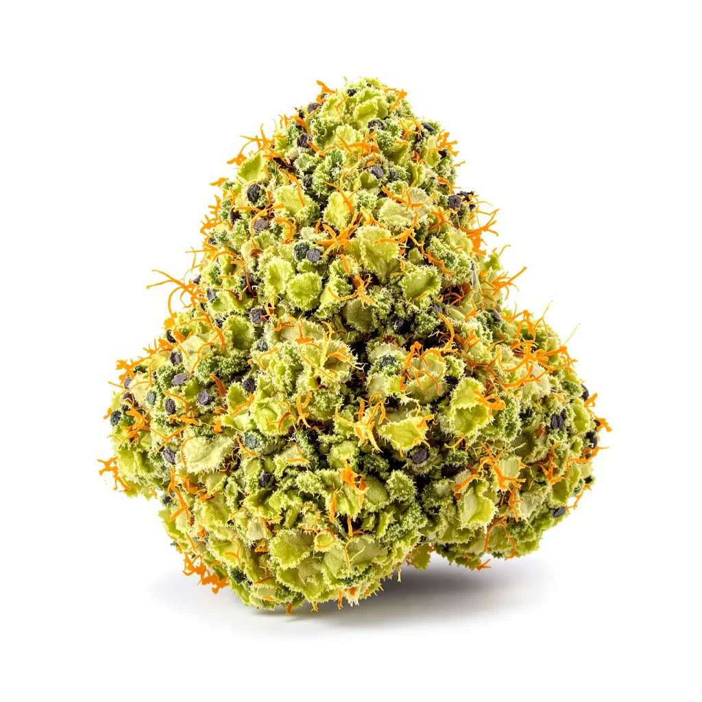 Dutch Dragon 9% indica / 91% sativa — flor con tricomas visibles