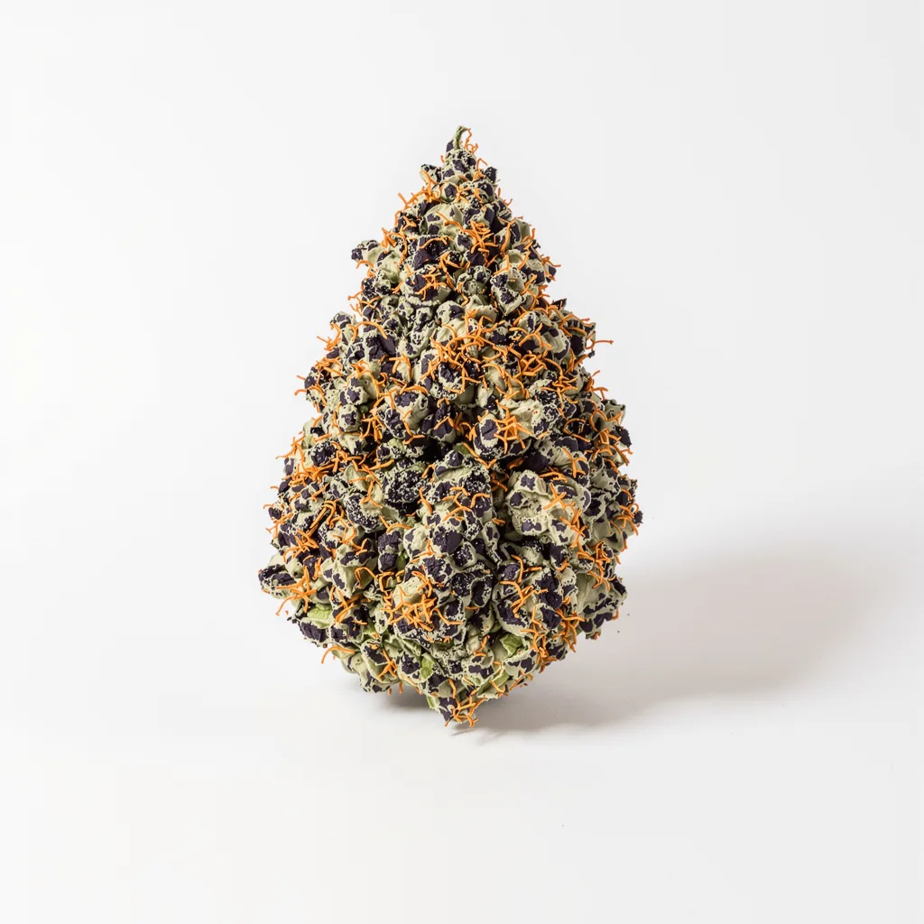 Dutch Kush 70% indica / 30% sativa — flor con tricomas visibles