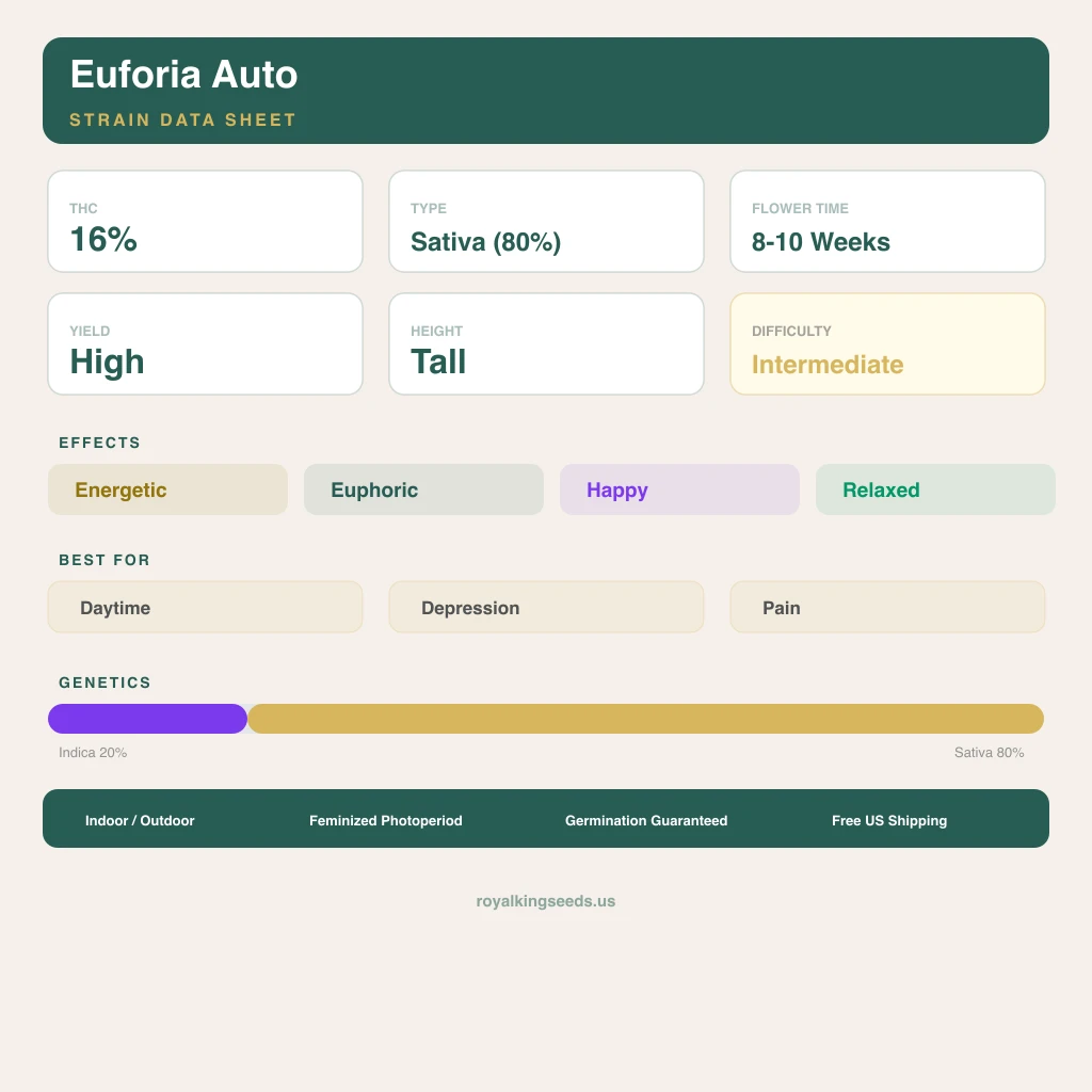 Euforia 20% indica / 80% sativa — flor con tricomas visibles