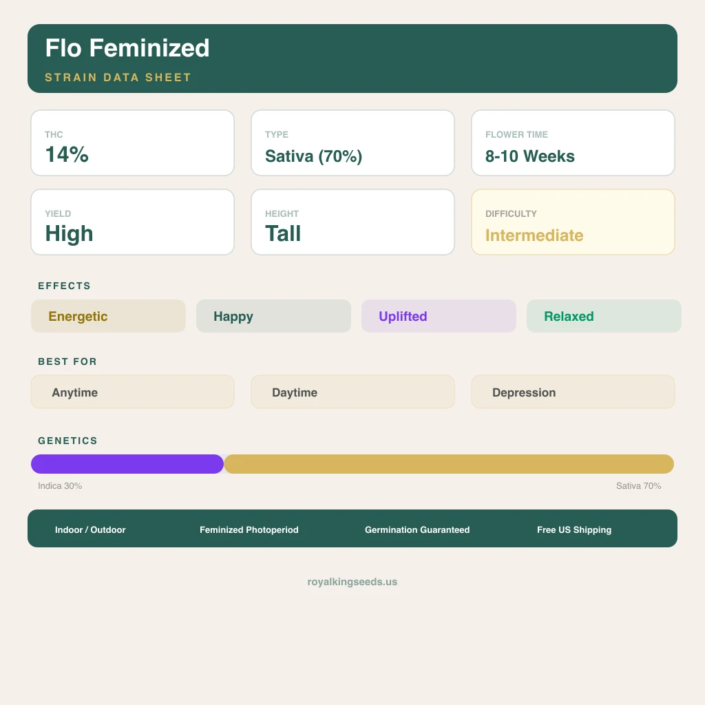 Flo 30% indica / 70% sativa — flor con tricomas visibles