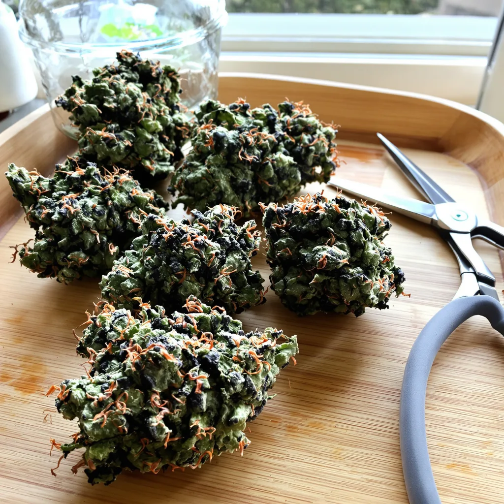 Fruity Widow 72% indica / 28% sativa — flor con tricomas visibles