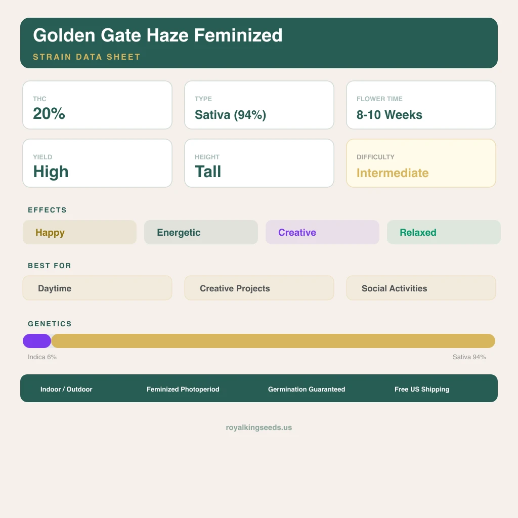 Golden Gate Haze 6% indica / 94% sativa — flor con tricomas visibles