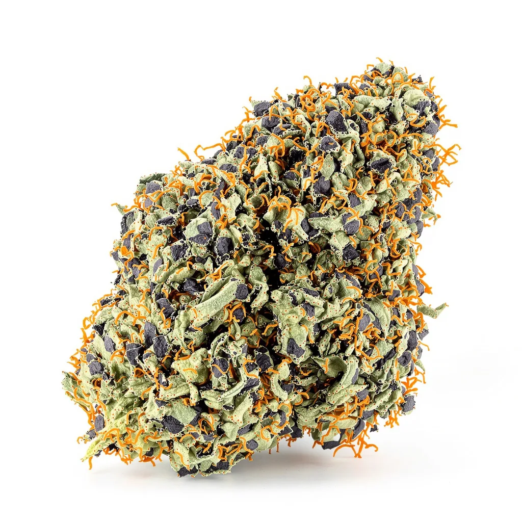 Goo 74% indica / 26% sativa — flor con tricomas visibles