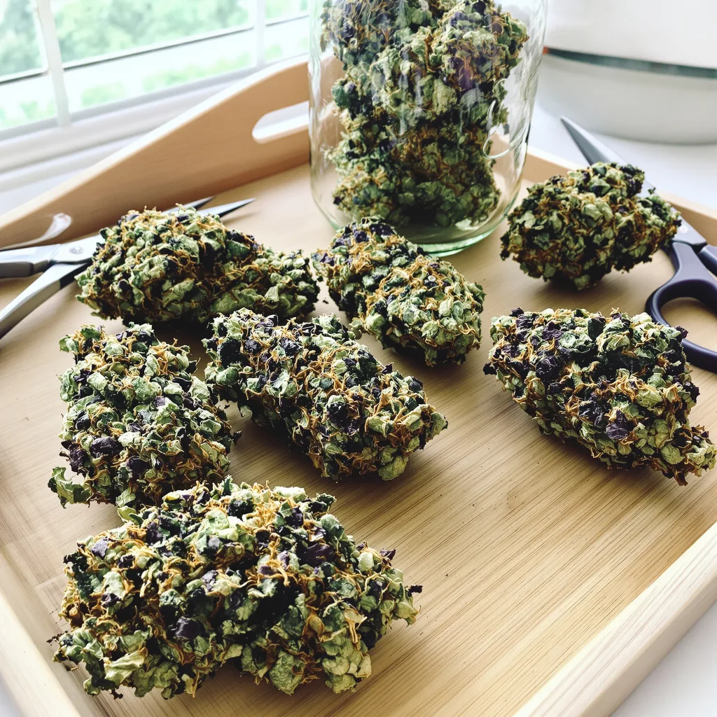 Grand Hindu 84% indica / 16% sativa — flor con tricomas visibles
