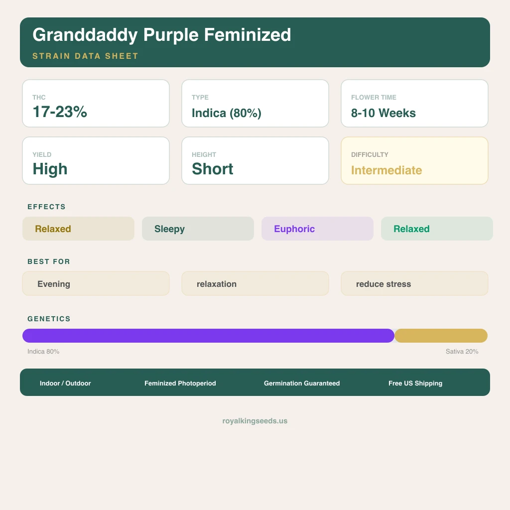Granddaddy Purple 80% indica / 20% sativa — flor con tricomas visibles