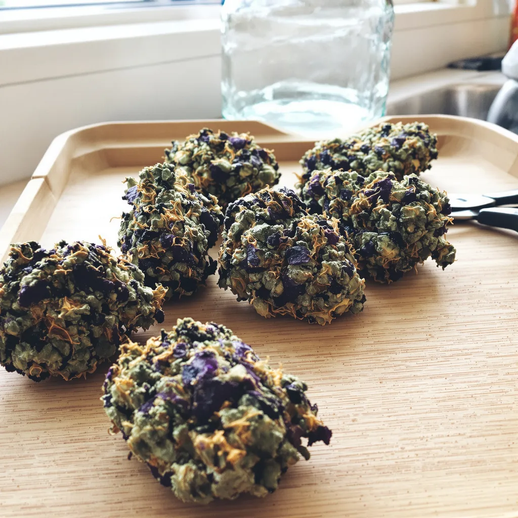 Grape Drink 89% indica / 11% sativa — flor con tricomas visibles