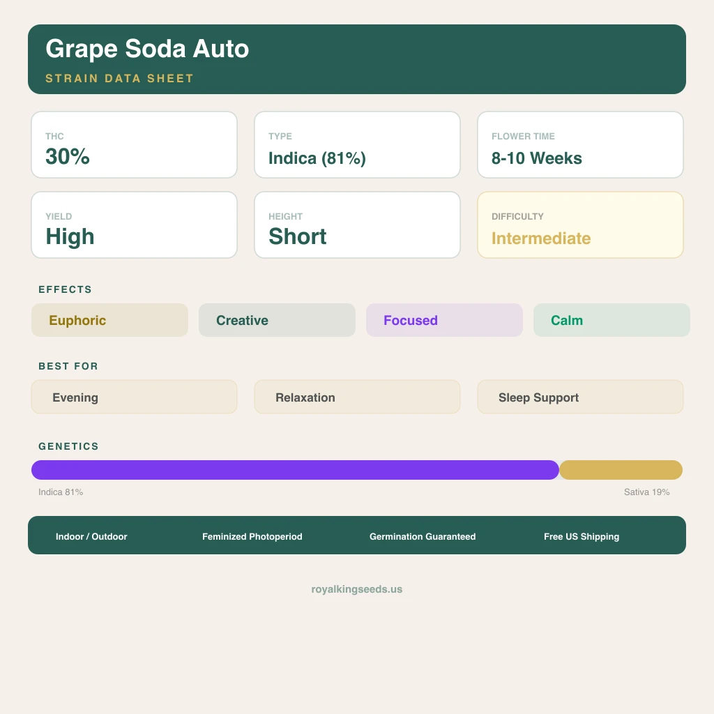 Grape Soda 81% indica / 19% sativa — flor con tricomas visibles